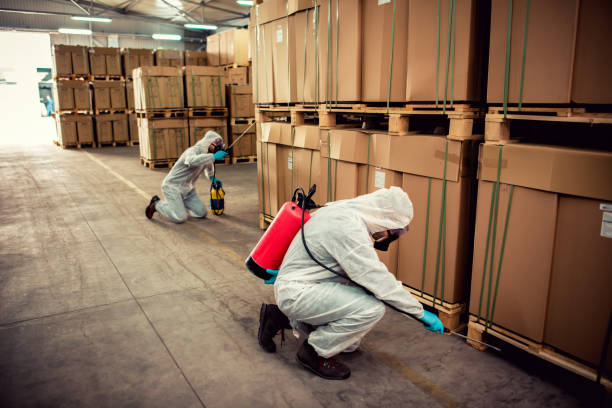 Best Pest Prevention Services  in Montpelier, VT