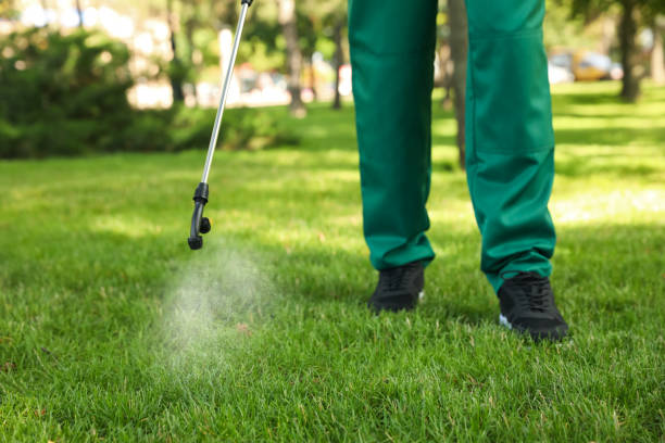 Best Pest Inspection Near Me  in Montpelier, VT