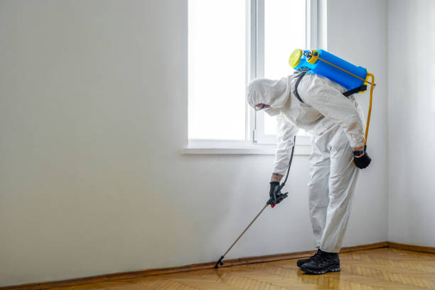 Best Rat Extermination Near Me  in Montpelier, VT