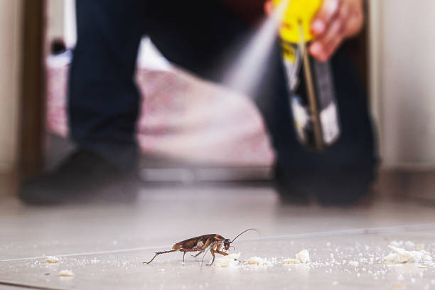 Best Emergency Pest Control  in Montpelier, VT