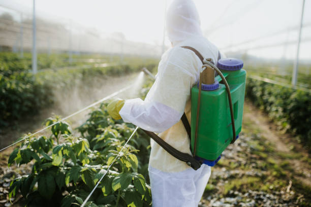 Best Pest Control Near Me  in Montpelier, VT